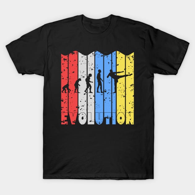 Karate Evolution Martial Arts Human Development T-Shirt by bigD